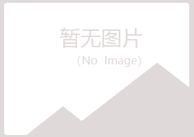 阳山县从安冶炼有限公司